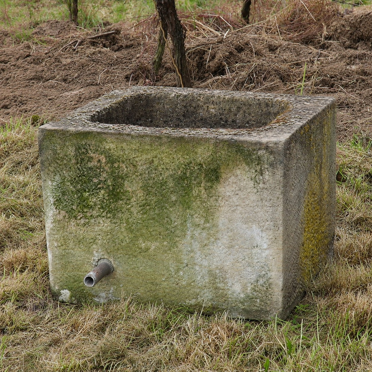 Ein rechteckiger, verwitterter Betontrog mit Moos und einem Metallrohr an einer Seite steht auf einer Rasenfläche im Freien und erinnert an den „alter Brunnentrog 55 x 43 x 40“, wie man ihn oft in traditionellen Gärten findet.