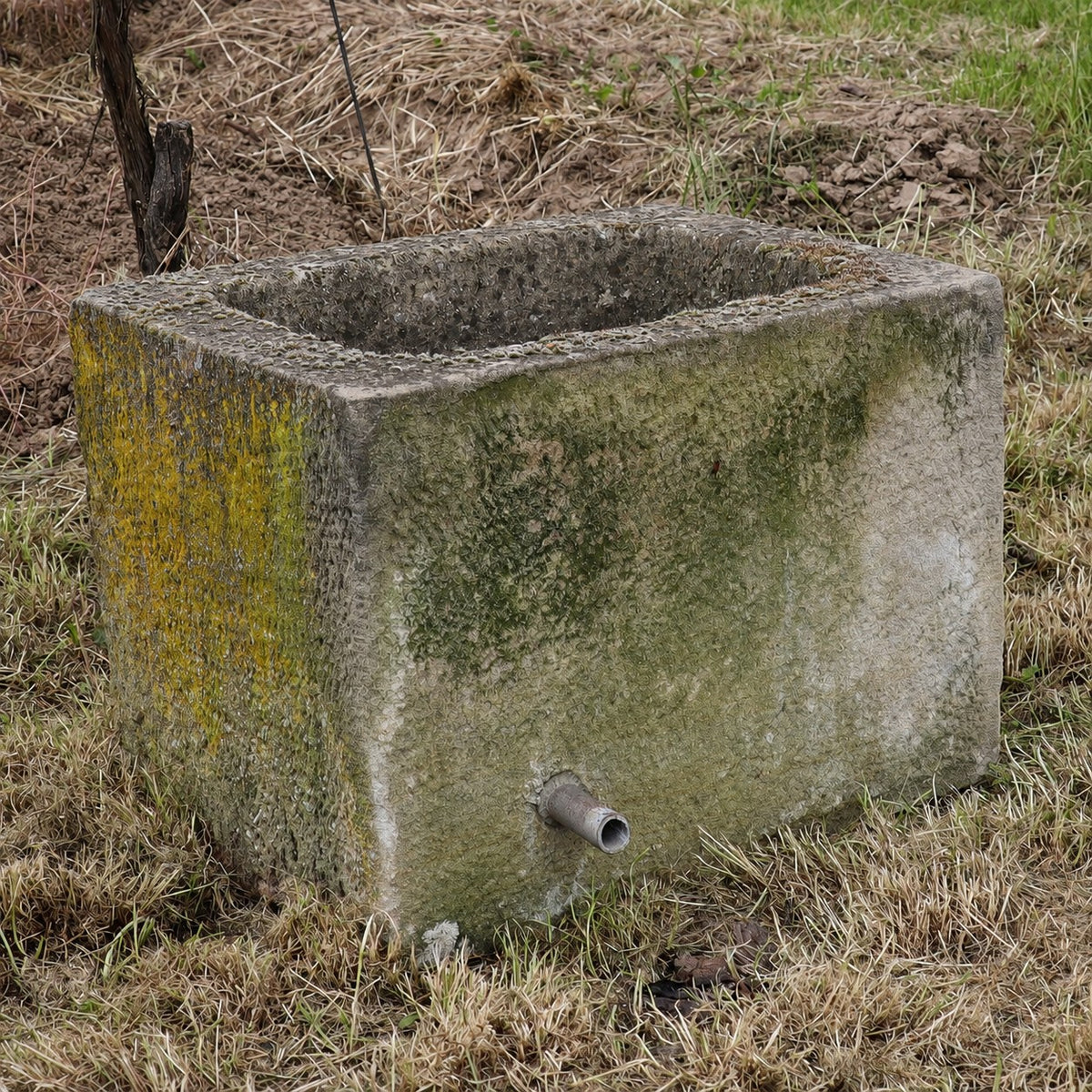 Auf trockenem Gras steht ein verwittertes, rechteckiges Betontrog mit der Bezeichnung „alter Brunnentrog 55 x 43 x 40“, das mit Moos und Flechten bewachsen ist. Es erinnert an ein altes Sandsteintrog und verfügt über einen Metallauslauf nahe dem Boden sowie eine offene Oberseite, was auf eine Nutzung als Wassertrog oder Becken hindeutet.