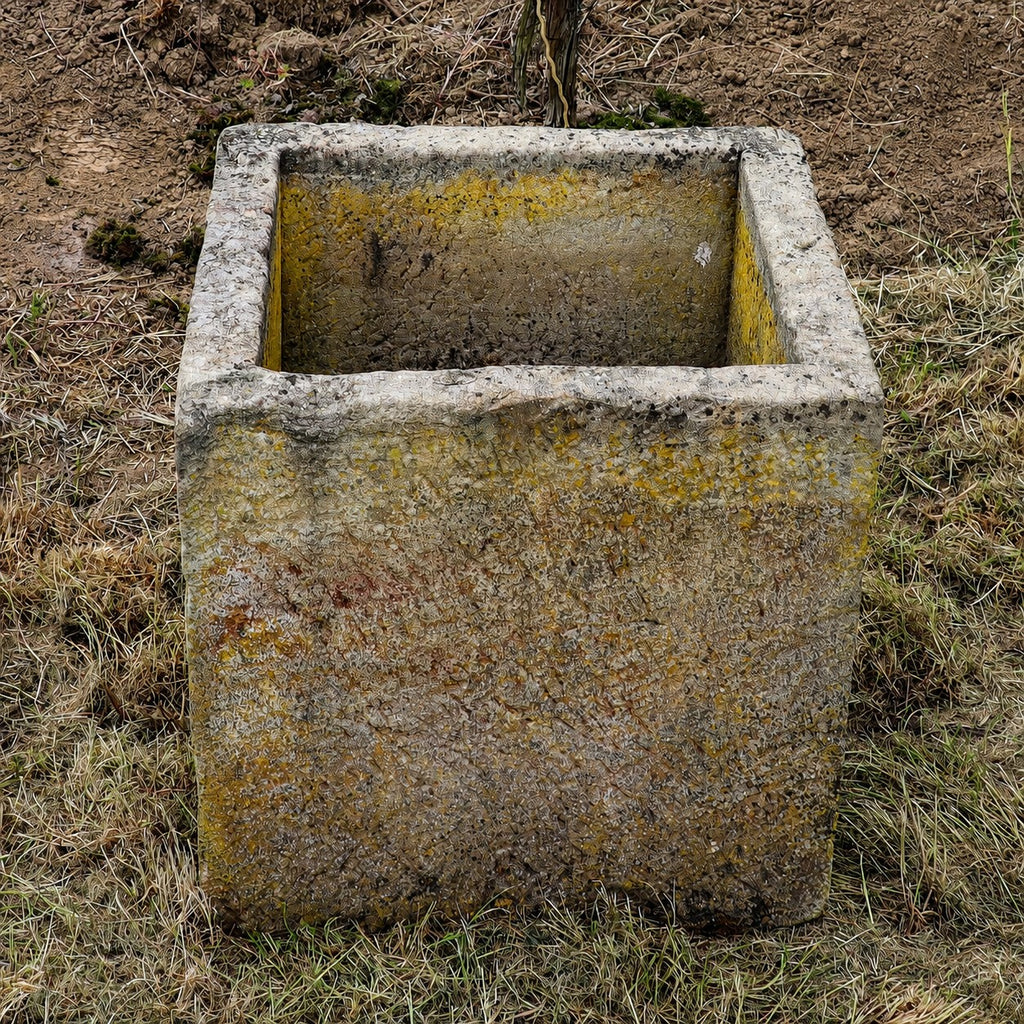 Ein verwitterter, quadratischer historischer Sandsteinkübel (62 × 59 × 60) mit gelblichem Moos steht auf trockenem Gras und Erde.