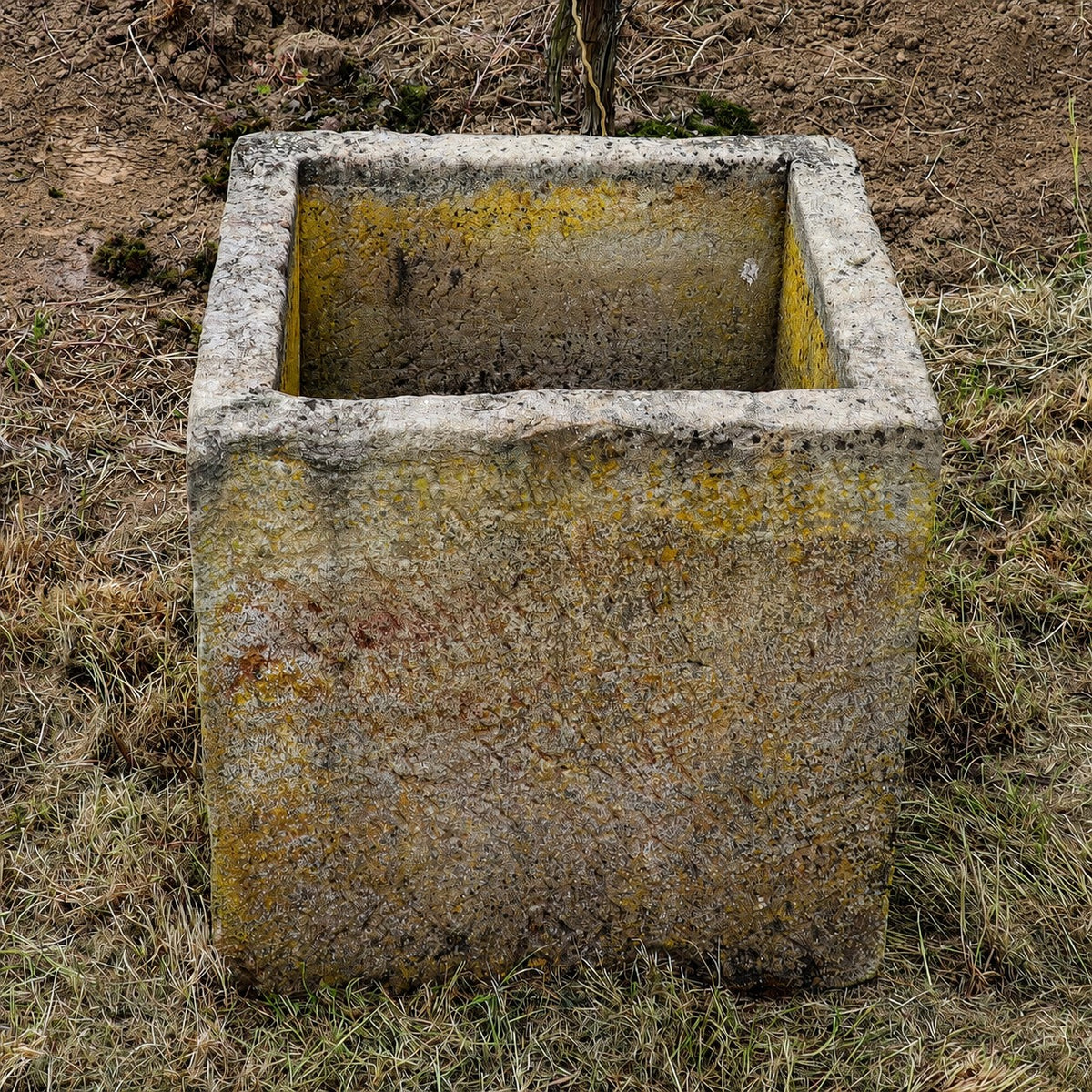 Ein verwitterter, quadratischer historischer Sandsteinkübel (62 × 59 × 60) mit gelblichem Moos steht auf trockenem Gras und Erde.
