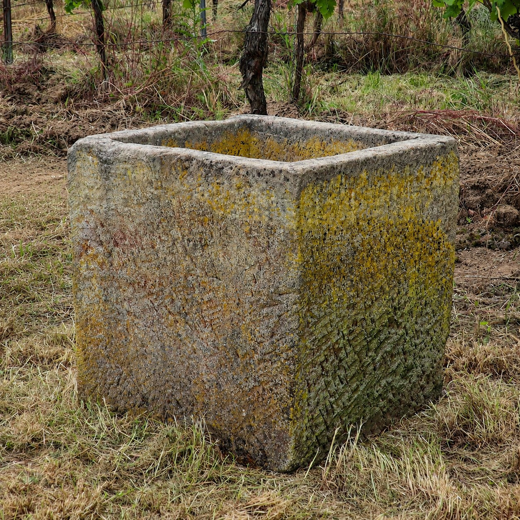 Ein großer, verwitterter historischer Sandsteinkübel (62 x 59 x 60) mit Moos und Flechten steht auf trockenem Gras, umgeben von einem Weinberg mit Weinreben im Hintergrund.