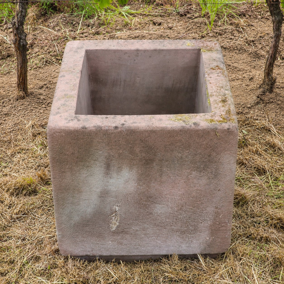 Auf trockenem Gras steht ein großer, leerer, quadratischer Betonpflanzkübel, im Hintergrund sind etwas Erde und grüne Pflanzen zu sehen – ideal für alle, die ein 2er-Set Natursteintröge 60 x 60 x 56 kaufen und ihrem Garten zeitlosen Charme verleihen möchten.