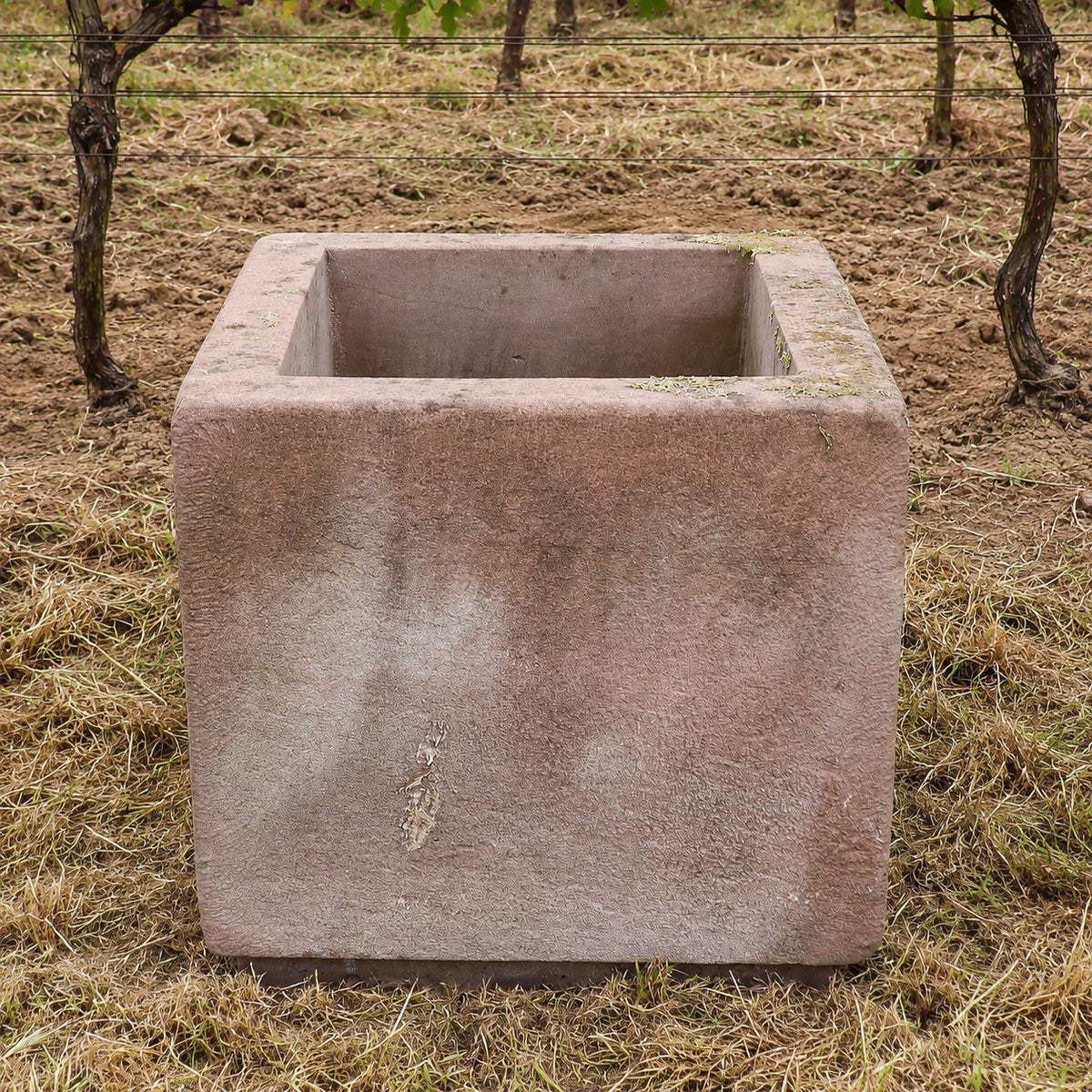 Ein geräumiger, leerer, quadratischer Steintröge aus dem 2er-Set „Natursteintröge 60 x 60 x 56“ – ideal für alle, die jahrhundertealte Sandsteinkübel kaufen möchten – steht auf trockenem Gras in einem Weinberg, im Hintergrund sind Weinreben und Erde zu sehen.