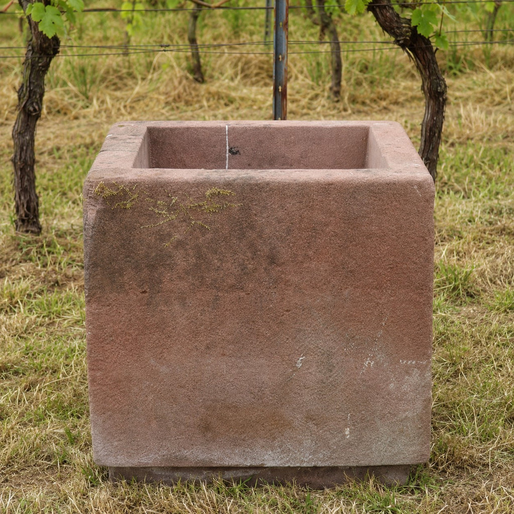 Vor den Weinreben steht auf dem Rasen ein großes, quadratisches Pflanzgefäß mit rauer Oberfläche: das 2er-Set Natursteintröge 60 x 60 x 56. Die dekorativen Sandsteinkübel wirken leer und sind ideal für alle, die charaktervolle Natursteintröge suchen.