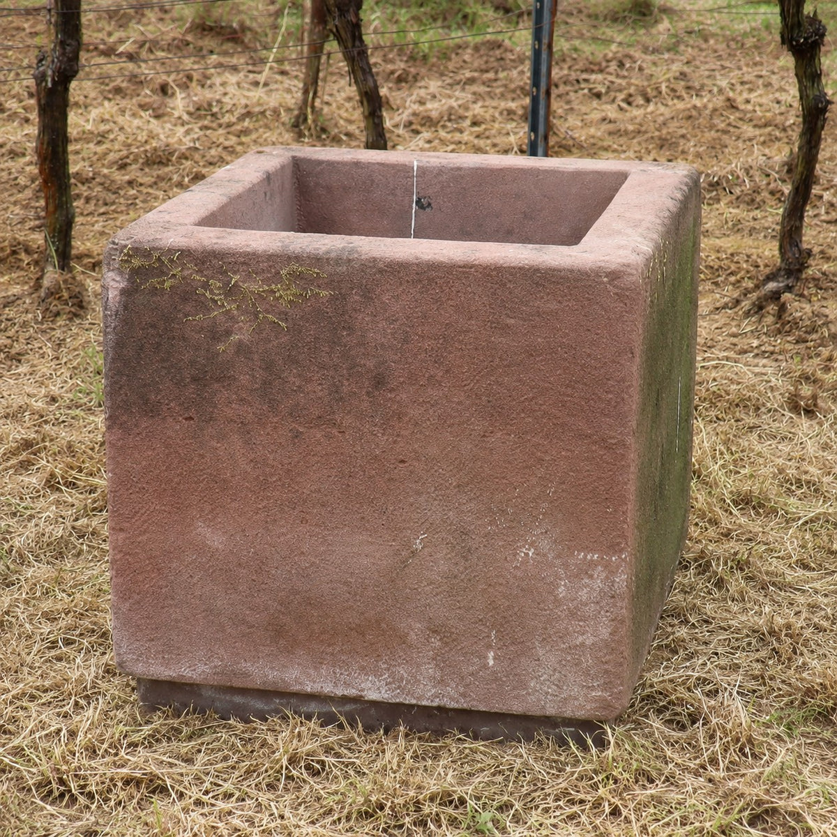 Ein großes, quadratisches 2er-Set Natursteintröge (60 x 60 x 56) steht auf trockenem Gras, im Hintergrund sind einige Ranken und ein Drahtzaun zu sehen. Wenn Sie Ihrem Garten zeitlosen Charme verleihen möchten, sollten Sie diesen Pflanzkübel in Betracht ziehen – kaufen Sie das 2er-Set Natursteintröge 60 x 60 x 56 als eleganten Blickfang für Ihren Außenbereich.