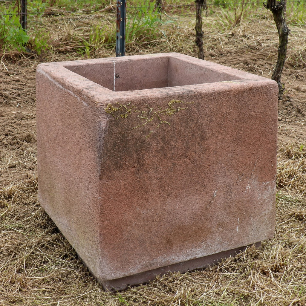 Ein Set aus zwei großen, quadratischen Natursteintrögen (2er-Set Natursteintröge 60 x 60 x 56) – ideal für alle, die jahrhundertealte Sandsteinkübel kaufen möchten – steht auf trockenem Gras in einem Gartenbereich im Freien, wobei im Hintergrund einige Pflanzen und Ranken zu sehen sind.