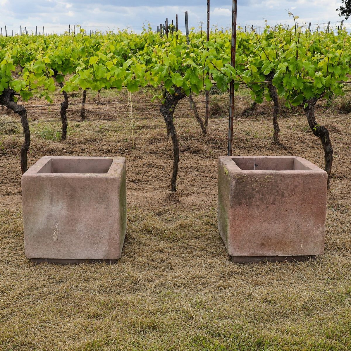 Zwei leere, quadratische Pflanzkübel aus dem 2er-Set „Natursteintröge 60 x 60 x 56“ stehen auf dem Rasen vor Reihen von Weinreben in einem Weinberg, umgeben von üppigem Grün und einem bewölkten Himmel. Wer jahrzehntealte Natursteintröge kaufen möchte, findet hier inspirierende Beispiele für stilvolle Gartengestaltung.