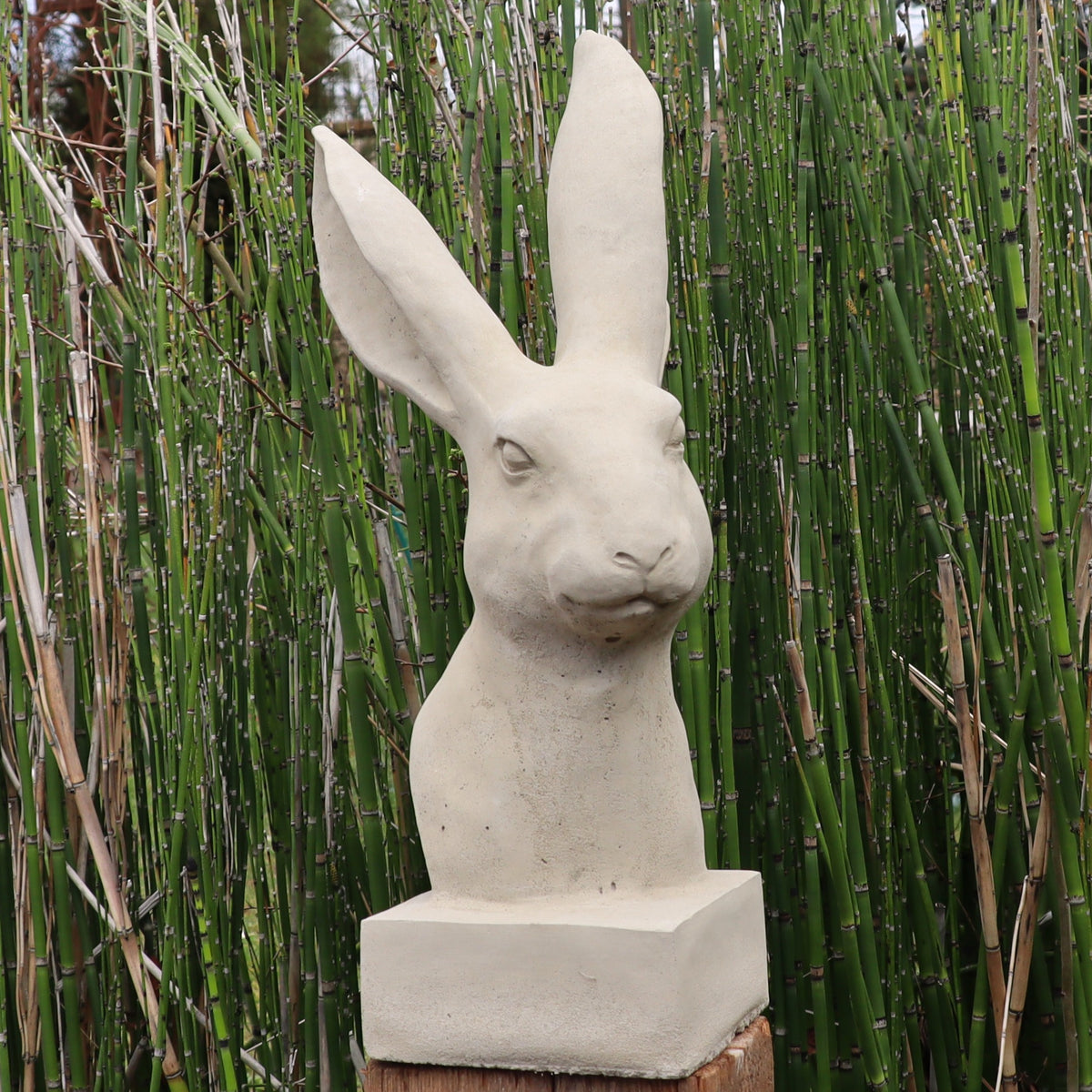 Die handgefertigte Steinfigur "Hase" aus Deutschland zeigt einen Hasenkopf mit langen Ohren und ruhigem Ausdruck auf quadratischem Sockel, dekorativ vor grünen, bambusähnlichen Pflanzen platziert.