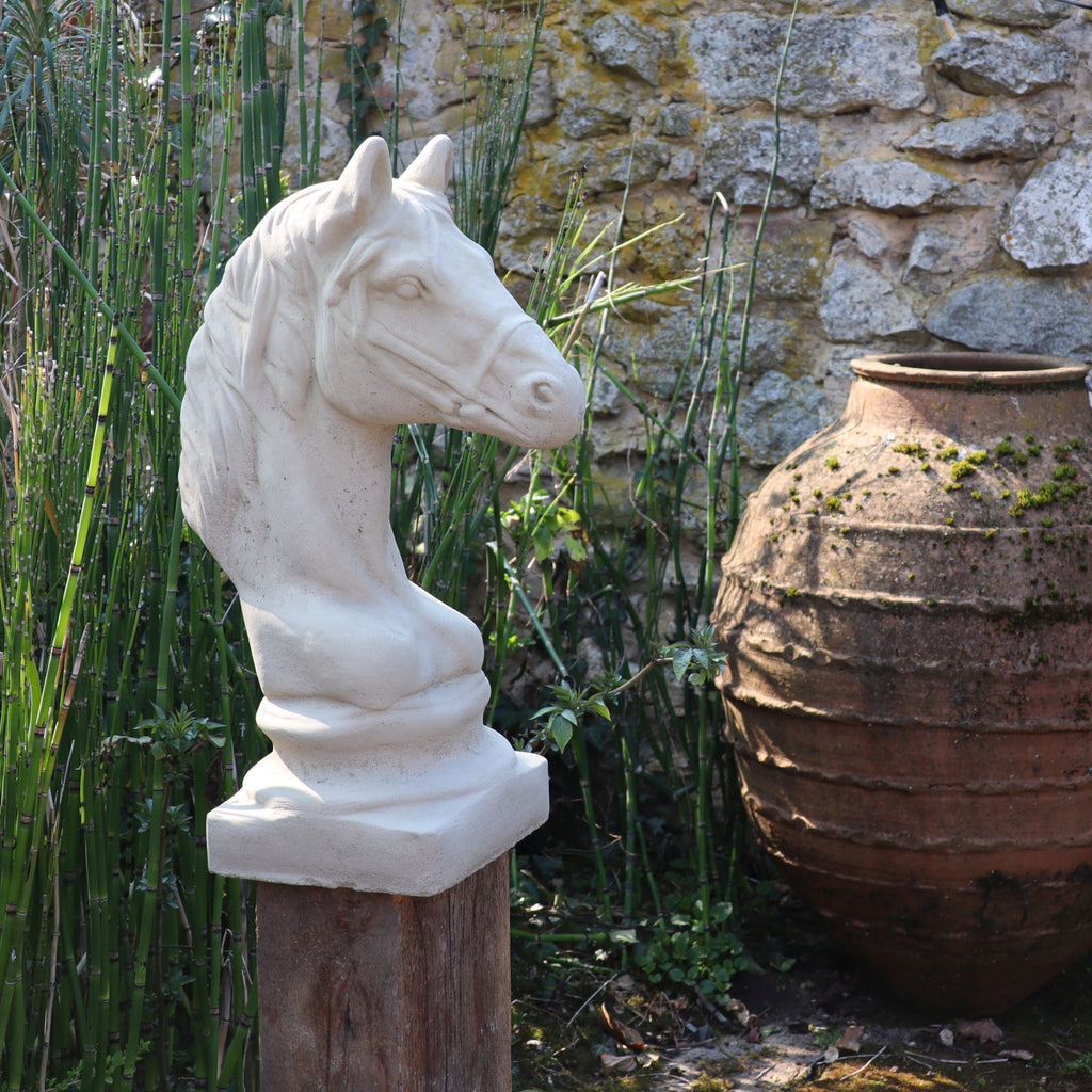 Die Winterfeste Figur für Outdoor "Pferd klein", ein weißer Pferdekopf aus Stein auf einem Sockel, schmückt einen Garten mit hohen Grünpflanzen, einer rustikalen Steinmauer und einem großen verwitterten Tontopf im Hintergrund.