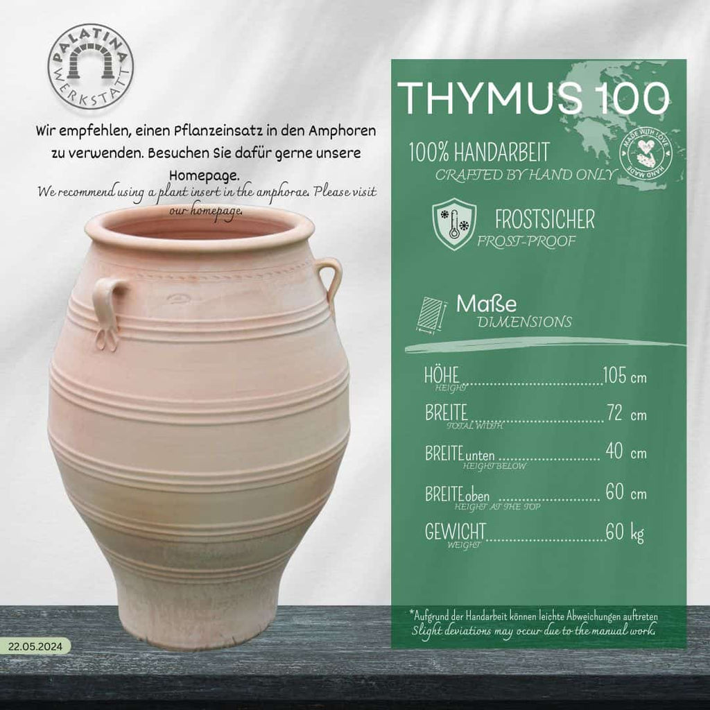 Eine XXL-Terrakotta-Amphore "Thymus" (H=100 cm) mit zwei Griffen steht neben einer grünen Infotafel, auf der die handgefertigten, frostsicheren Eigenschaften, die Abmessungen und die vorgeschlagene Verwendung eines Pflanzeinsatzes hervorgehoben werden - ideal für die Präsentation von Thymus-Sorten.