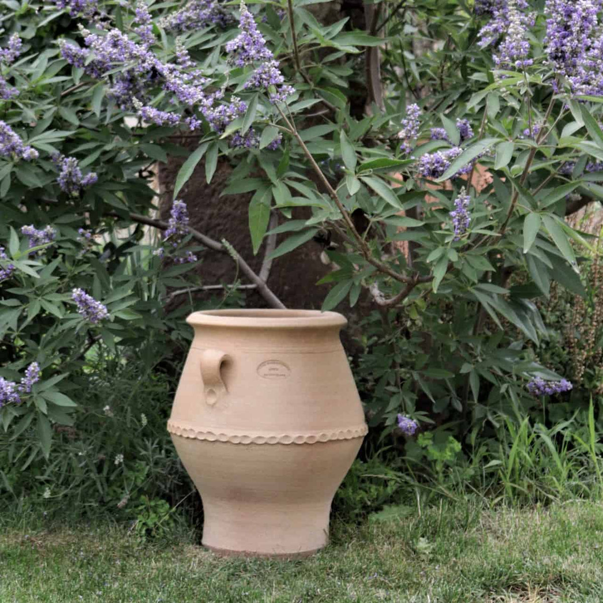 Eine große, beige frostfeste Terrakotta-Amphore "Thymus 2" H=40cm mit dekorativen Verzierungen steht auf dem Rasen, umgeben von üppigem grünem Laub und blühenden Lavendelpflanzen. Der Hintergrund zeigt einen Ausschnitt eines Gartens in verschiedenen Grün- und Lilatönen.