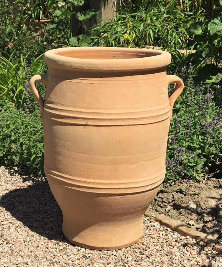 Die frostfeste Amphore Garten "Thymus", H=50cm, mit zwei seitlichen Griffen, steht auf Kies inmitten von Grünpflanzen und lila Blüten in einem sonnenbeschienenen Garten - ideal für den Außenbereich.