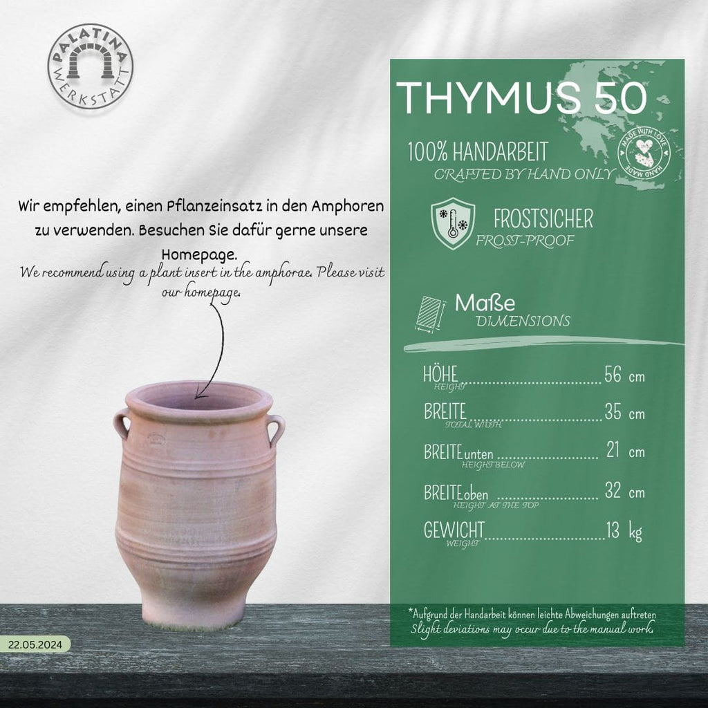 Eine Infografik für den frostfesten Amphore Garten "Thymus", H=50cm, zeigt eine hellbraune Keramikamphore der Pfälzer Werkstatt mit ihrer frostsicheren Eigenschaft, Größenangaben und Pflanzvorschlägen.