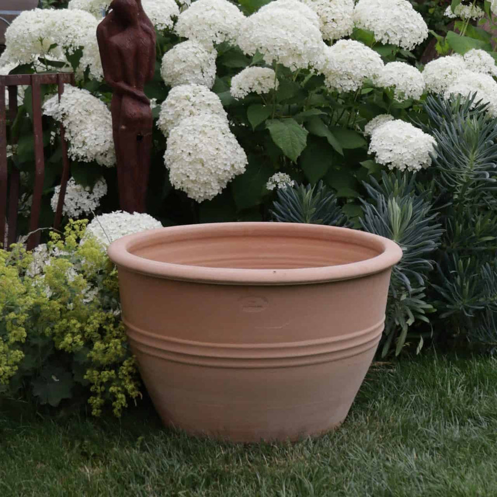 Eine große, leere winterharte Pflanzschale „Veronica“ mit einem Durchmesser von 55 cm steht auf grünem Gras in einem Garten. Hinter dem Topf blühen üppige weiße Hortensienblüten neben grünem Laub, während links teilweise eine dunkelbraune abstrakte Gartenskulptur zu sehen ist. Veronica-Blüten zeichnen in der Nähe zarte Muster.