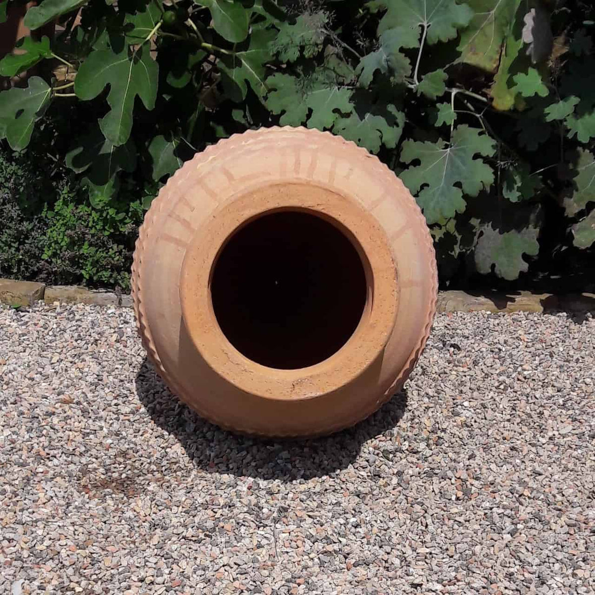 Ein großer, leerer Tontopf, der der Großen Liegenden Amphore „Vitex“ H=1,1 m ähnelt, liegt auf der Seite auf einer Kiesfläche. Der Topf hat ein strukturiertes Muster um den oberen Rand. Im Hintergrund sind grüne Blattpflanzen zu sehen, möglicherweise Vitex-Sträucher von etwa 1 m Höhe. Die Szene spielt im Freien, wahrscheinlich in einem Garten oder Hof.