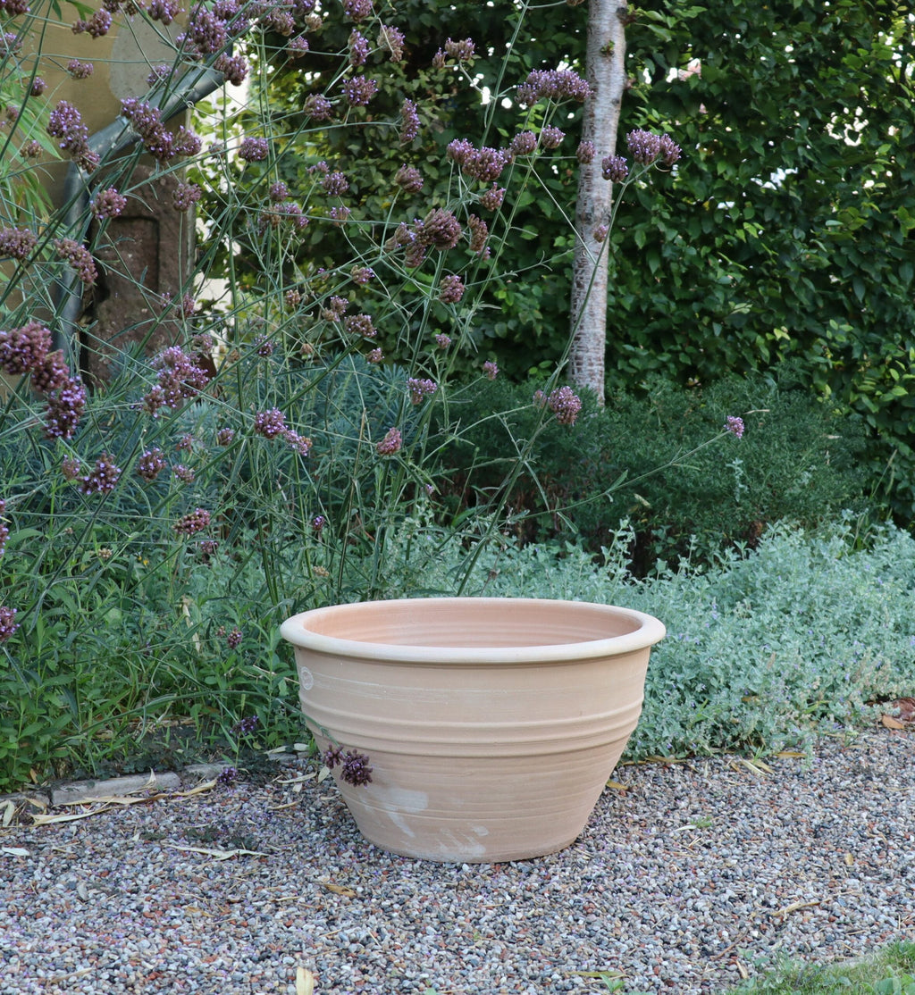 Ein großer, leerer frostfester Blumentopf aus Terrakotta, Blumenkübel „Veronica“ D=35 cm, steht auf einer Kiesfläche in einem Garten. Um den Topf herum stehen große Veronica-Blütenpflanzen und im Hintergrund üppiges grünes Blattwerk.