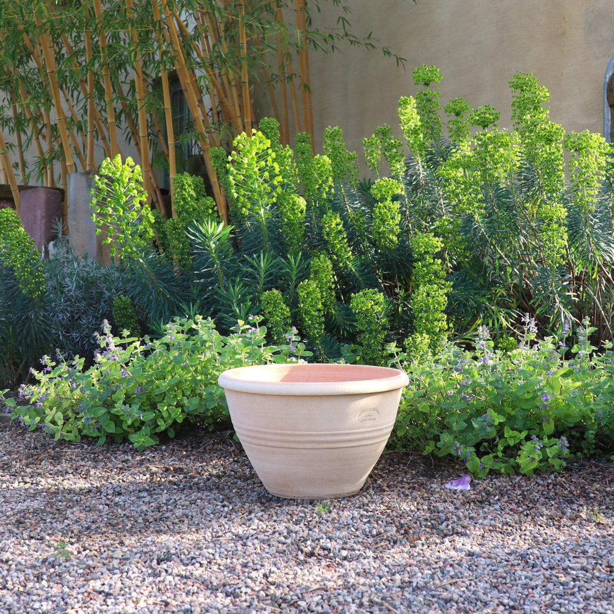 Ein hellbrauner, frostfester Blumentopf aus Keramik, Blumenkübel „Veronica“ D=35 cm, steht auf einer Kiesfläche in einem Garten. Hinter dem Topf bilden üppige grüne Pflanzen mit hohen Stielen und kleinen Veronica-Blüten einen lebendigen Hintergrund. In der Ferne sind Bambusstäbe und eine beige Stuckwand zu sehen.