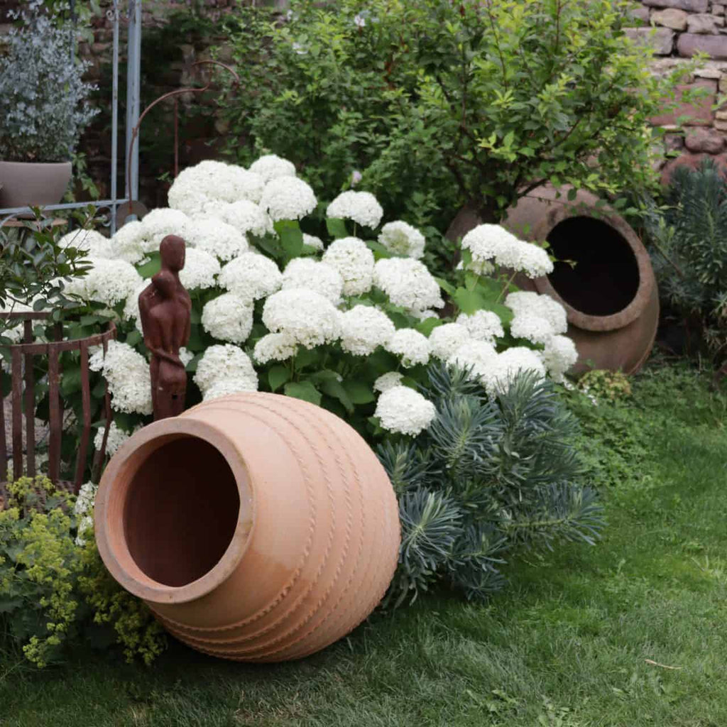 Eine Gartenszene mit einem auf der Seite liegenden Terrakotta-Topf, einer Holzskulptur einer menschlichen Figur und der großen liegenden Amphore „Vitex“ H=1,1 m im Hintergrund. Der Bereich ist von üppigem Grün und blühenden weißen Hortensien umgeben, wobei Vitex dem Ganzen einen besonderen Charme verleiht. Eine Steinmauer und weitere Topfpflanzen sind ebenfalls zu sehen.