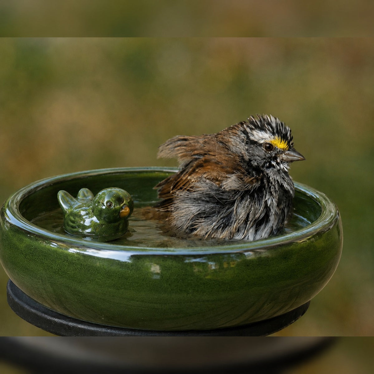Ein nasser Spatz sitzt in einem grünen Keramik-Vogelbad neben einem kleinen Keramikvogel, vor einem verschwommenen Naturhintergrund.