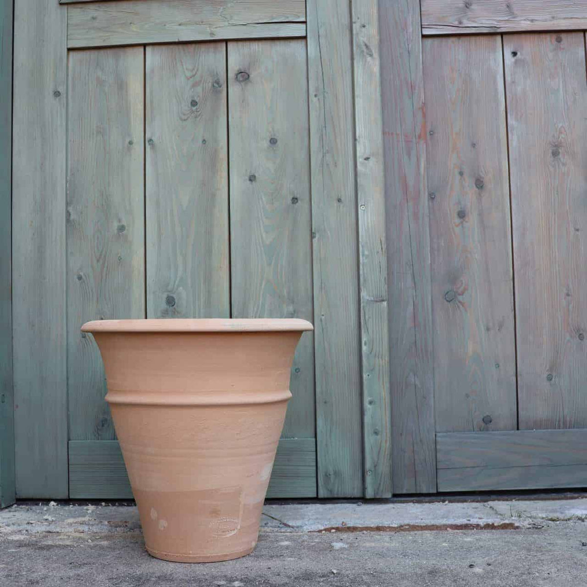 Ein großes, leeres winterhartes Terrakotta-Pflanzgefäß „Yucca“, H=35 cm, steht auf einer Betonfläche vor einem verwitterten Holzzaun mit vertikalen Brettern, die in einem gedeckten Grünton gestrichen sind. Der Topf ist leicht abgenutzt, hat ein paar sichtbare Flecken und ist H=35 cm hoch, perfekt für die Unterbringung einer widerstandsfähigen Yucca.