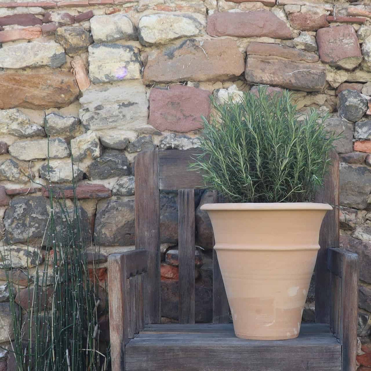 Ein winterhartes Terrakotta-Pflanzgefäß „Yucca“, 35 cm hoch, steht auf einem Holzstuhl vor einer rustikalen Steinwand. Neben dem Stuhl wachsen hohe, schlanke Yucca-Pflanzen, die zur natürlichen, ruhigen Umgebung beitragen.