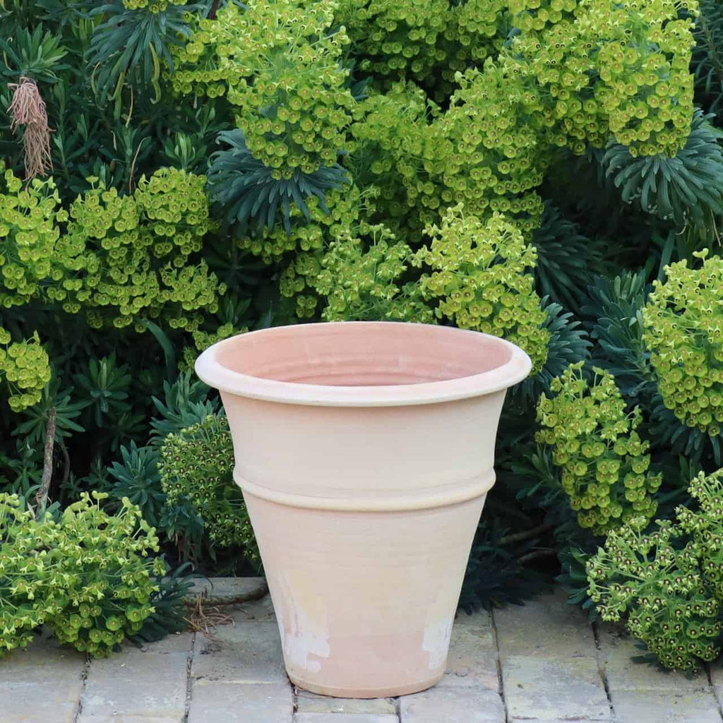 Ein großes, leeres winterhartes Terrakotta-Pflanzgefäß „Yucca“, H=35 cm, steht auf einem steingepflasterten Untergrund, vor einem Hintergrund aus üppigem grünem Laub und blühenden gelbgrünen Blumen.