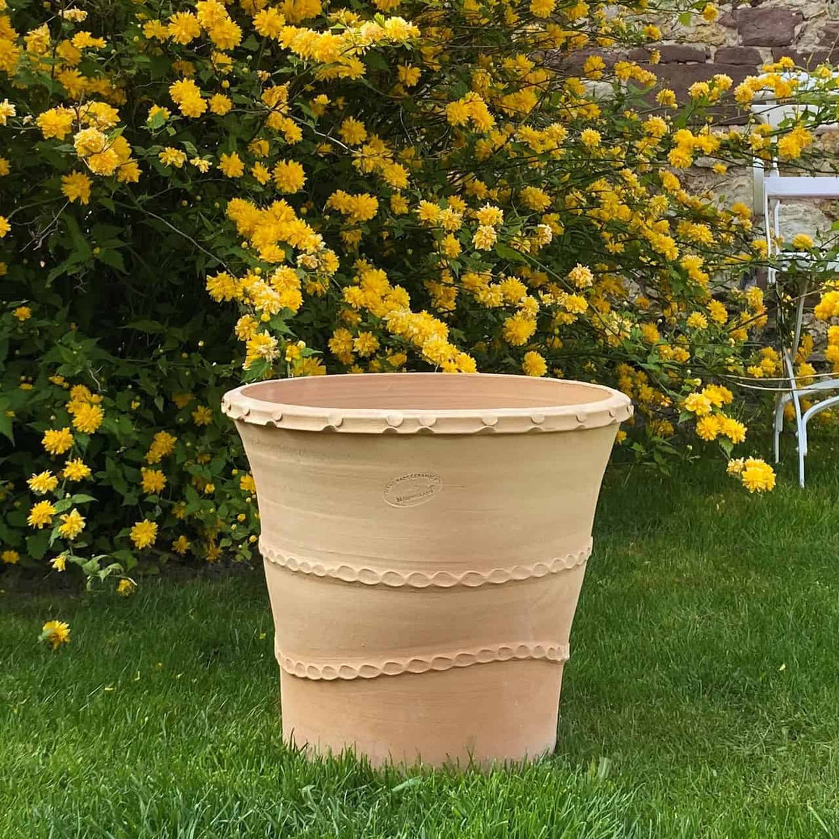 Ein großer, dekorativer Terrakotta-Pflanzkübel „Acanthus“, 40 cm hoch, steht auf einer Rasenfläche. Seine strukturierten Bänder werden durch die leuchtend gelben Blüten eines üppigen grünen Acanthus-Buschs wunderschön ergänzt und schaffen eine farbenfrohe und helle Szene in der Gartenumgebung.