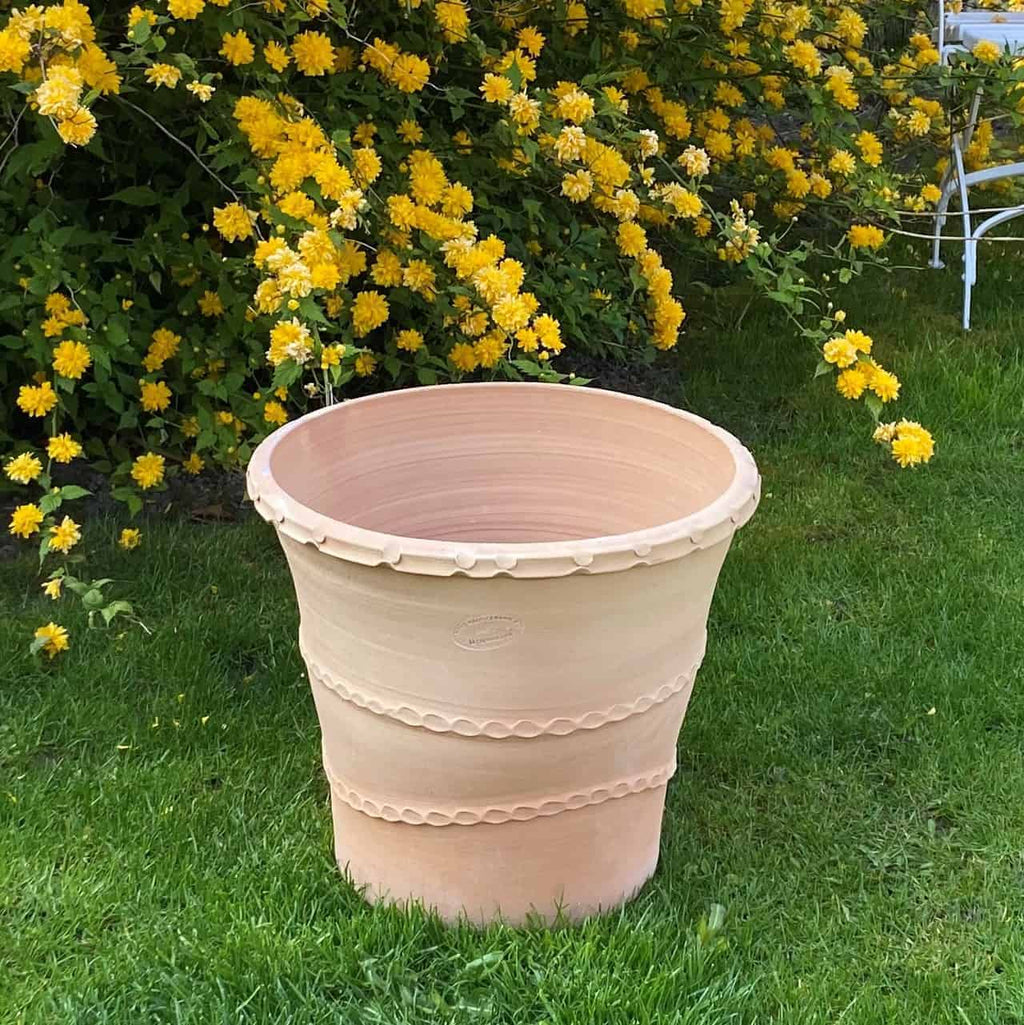 Ein großer, leerer Terrakotta-Pflanzkübel „Acanthus“, H=40 cm, mit dekorativen Rillen steht auf einer grünen Wiese. Dahinter sorgen zahlreiche gelbe Blüten mit grünem Blattwerk für eine helle und farbenfrohe Gartenszene.