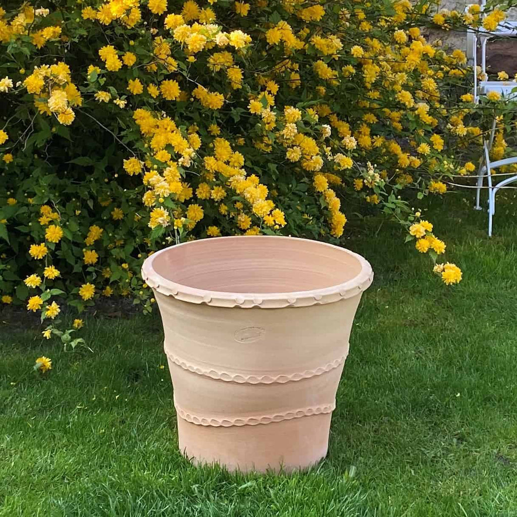 Ein großer, leerer Terrakotta-Pflanzkübel „Acanthus“, 40 cm hoch und mit einem dekorativen Rand versehen, steht auf einer grünen Wiese. Dahinter sorgt ein üppiger Strauch mit leuchtend gelben Blüten für einen Farbtupfer in der Szene. Auf der rechten Seite ist teilweise ein weißer Metallstuhl zu sehen.