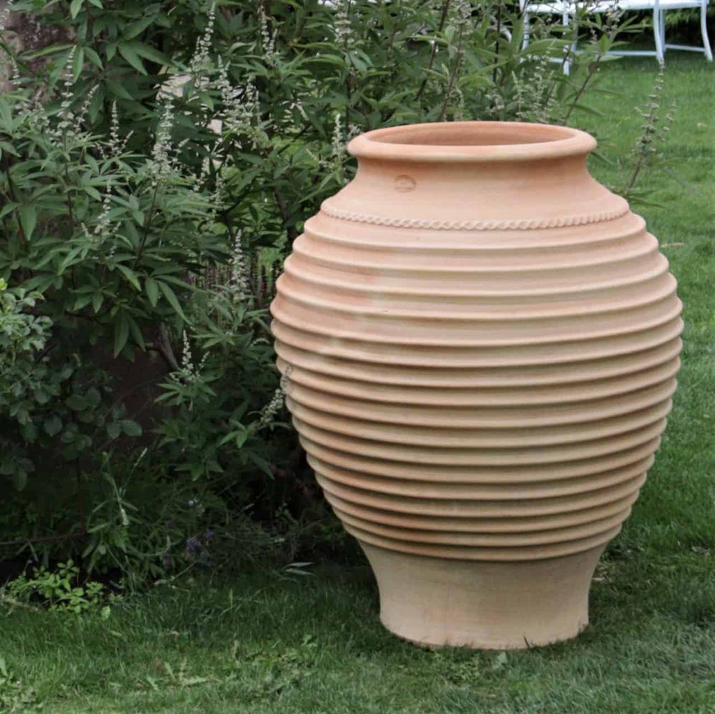 In einem Garten steht die frostfeste Terrakotta-Amphore „Agave“, 100 cm hoch, auf grünem Gras neben einer Agavenpflanze. Die große gerippte Urne hat eine weite Öffnung und ein dekoratives Muster aus gedrehten Seilen um ihren oberen Teil. Im Hintergrund sind Andeutungen eines Stuhls und Tischs aus Metall zu erkennen.