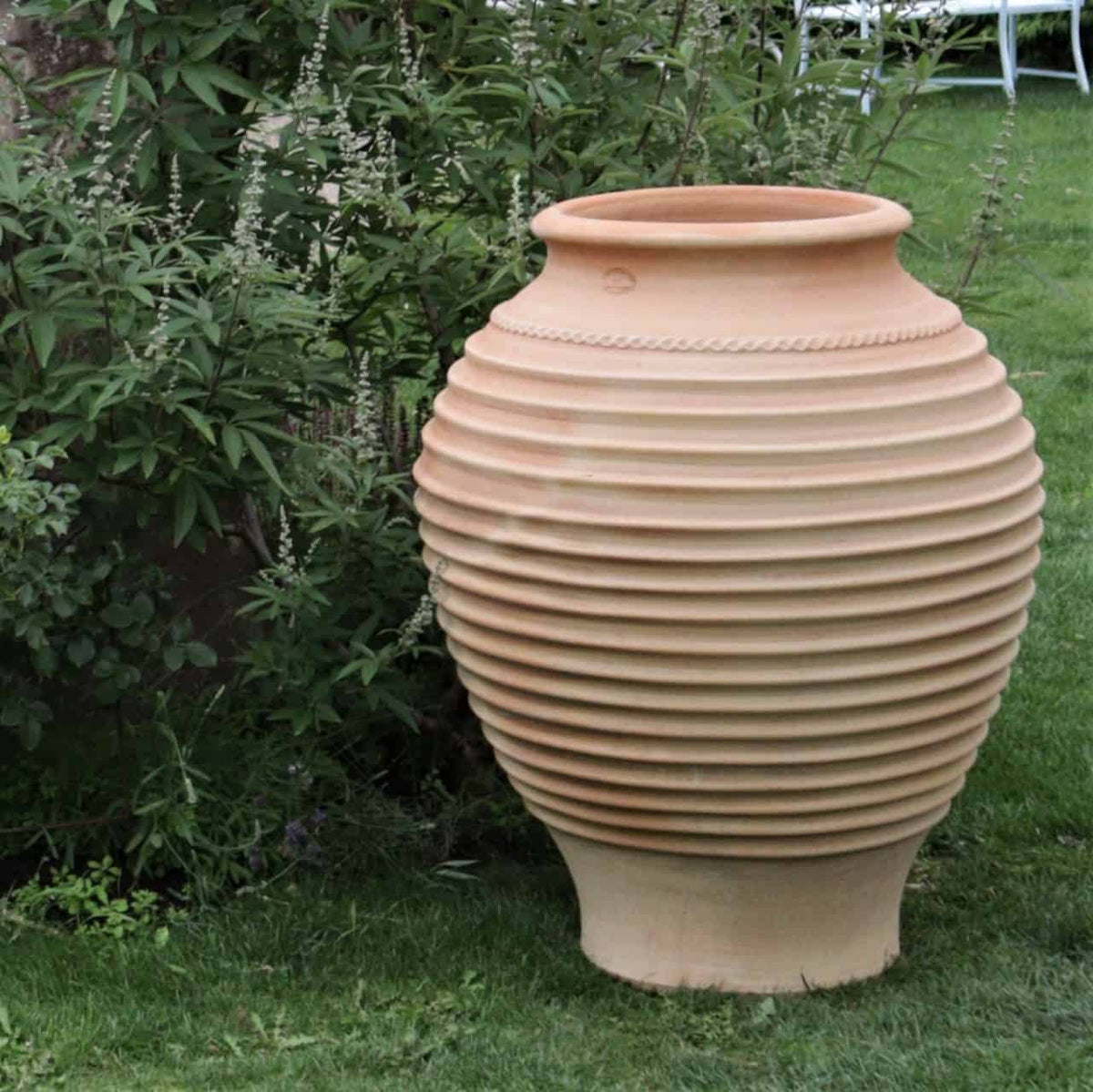 In einem Garten steht die frostfeste Terrakotta-Amphore „Agave“, 100 cm hoch, auf grünem Gras neben einer Agavenpflanze. Die große gerippte Urne hat eine weite Öffnung und ein dekoratives Muster aus gedrehten Seilen um ihren oberen Teil. Im Hintergrund sind Andeutungen eines Stuhls und Tischs aus Metall zu erkennen.