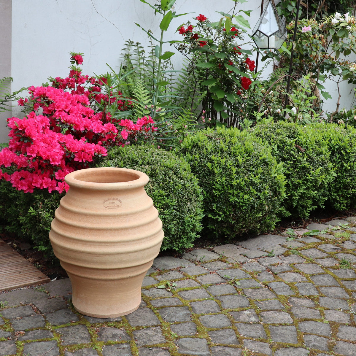 Die frostfeste Amphore "Agave" H=40cm steht auf einem gepflasterten Weg im Garten, umgeben von grünen Sträuchern, leuchtend rosafarbenen Azaleen und roten und weißen Blüten vor einer weißen Wand.