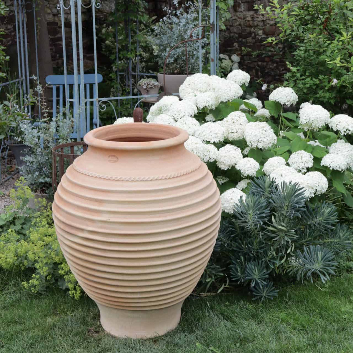 Auf einer Rasenfläche steht neben einer Ansammlung weißer Hortensienblüten, einer Agavenpflanze und verschiedenen Grünpflanzen eine große frostfeste Terrakotta-Amphore „Agave“, H=100cm mit gerippter Struktur. Im Hintergrund sind Gartenmöbel aus Metall und eine Steinmauer zu sehen.