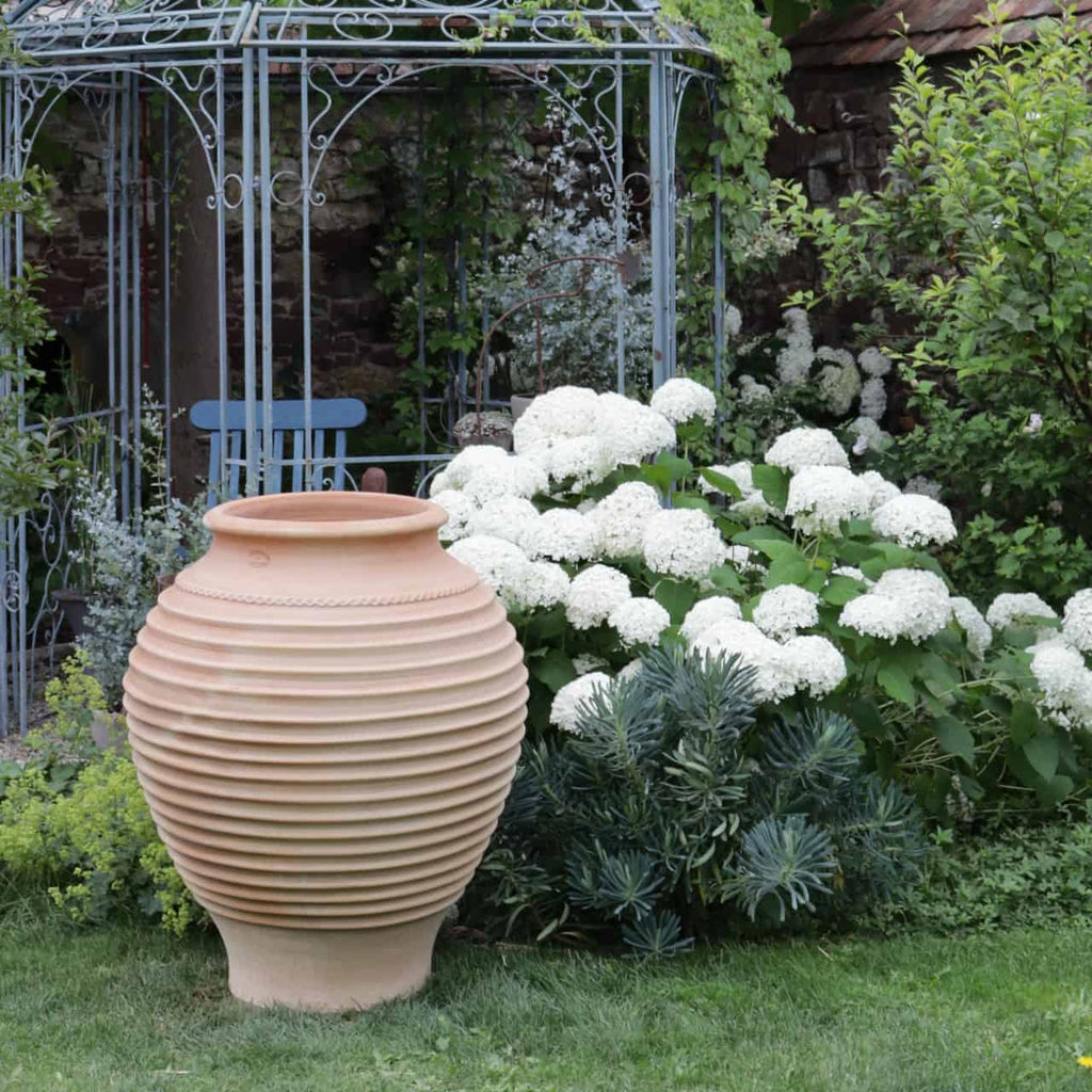Eine große, gerippte, frostfeste Terrakotta-Amphore „Agave“ mit einer Höhe von 100 cm ziert einen üppigen Garten voller grüner Blätter und weißer Hortensien. Im Hintergrund ist ein hübscher, mit komplizierten Mustern und einem blauen Stuhl verzierter Metallpavillon teilweise von Kletterpflanzen bedeckt, wodurch eine friedliche und einladende Außenumgebung entsteht.