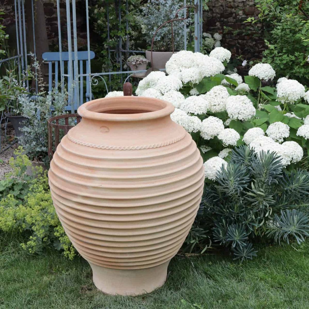 Eine große frostfeste Terrakotta-Amphore „Agave“ (H=100cm) steht in einem Garten neben leuchtend weißen Blumen und verschiedenen Grünpflanzen, darunter einer auffälligen Agave. Im Hintergrund sind Metallgartenmöbel, die teilweise zwischen den Blättern sichtbar sind, angebracht, wodurch die Umgebung sowohl elegant als auch einheitlich bleibt.