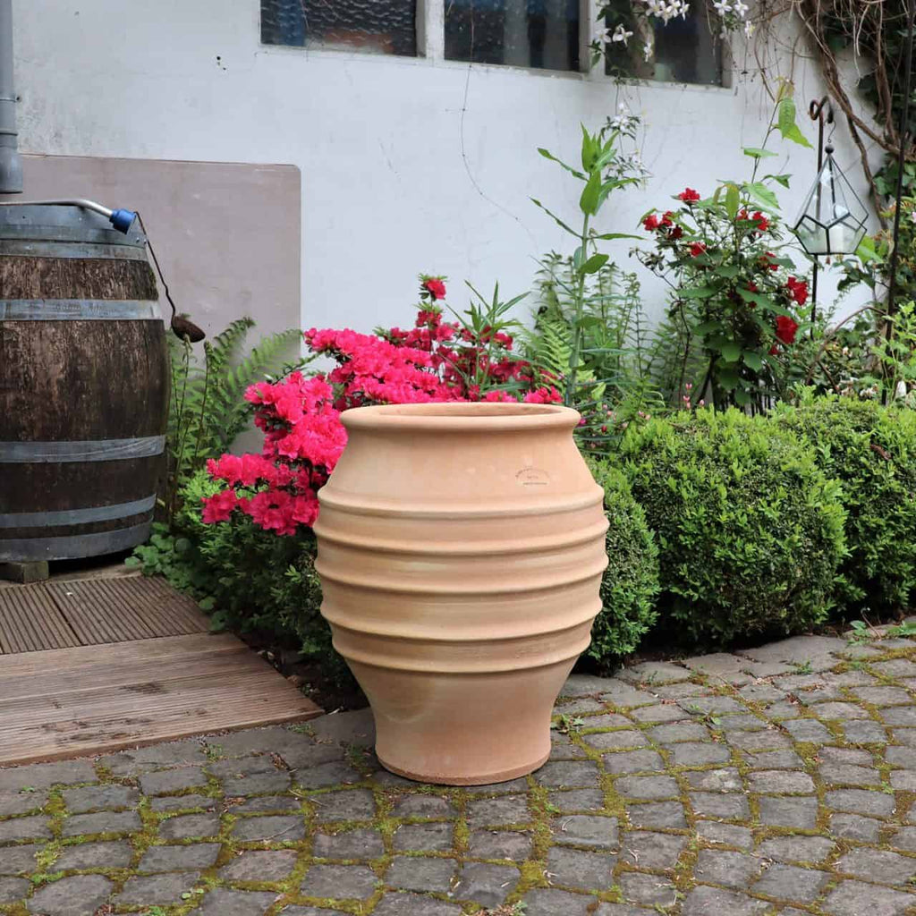 Eine Terrakotta-Regentonne steht auf einer gepflasterten Terrasse neben einem Garten mit roten und rosa Blumen, grünen Sträuchern und einer Agave. Der Hintergrund zeigt einen Teil eines Hauses mit einer Holztonne unter einem Regenfallrohr und verschiedenem Grün, darunter die frostfeste Dekorationsamphore „Agave“, H=50cm, für eine zusätzliche Note.