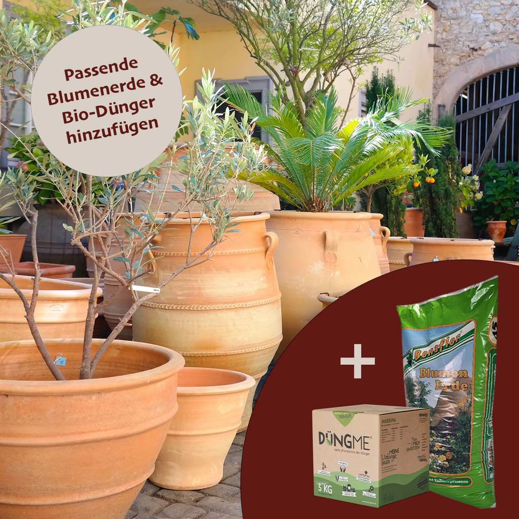 Terrakotta-Blumentöpfe und ein Olivenbaum zieren die Terrasse. Der grafische Kreis zeigt zwei Taschen: Bio-Dünger und Blumenerde, beide auf Deutsch für üppiges Wachstum empfohlen. Vielleicht durch strahlende Astern ergänzt oder in der Amphore Garten Winterfest „Thymus“ H=70cm präsentiert.