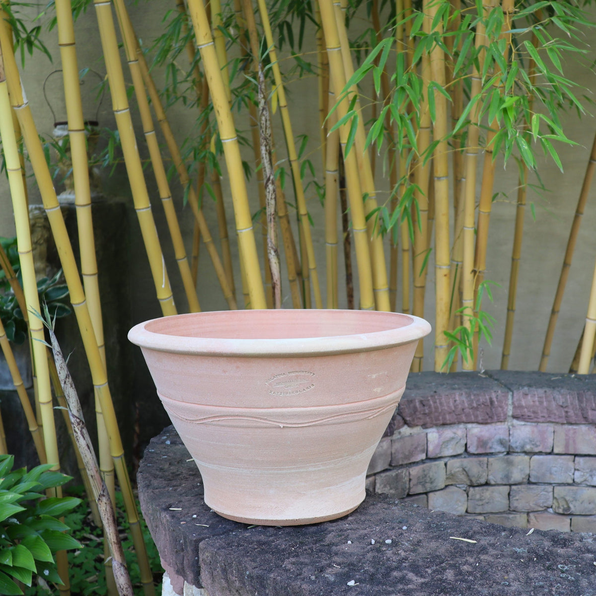 Der Terrakotta-Pflanztopf "Artemesia", B=45cm, steht leer auf einem Steinsims, umrahmt von einer Wand aus gelbem Bambus und üppigem grünen Laub.