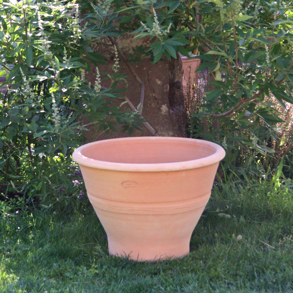 Der Terrakotta-Pflanztopf "Artemesia", B=50 cm, steht leer auf grünem Gras in einem Garten, mit Blattpflanzen und einem Baumstamm im Hintergrund.