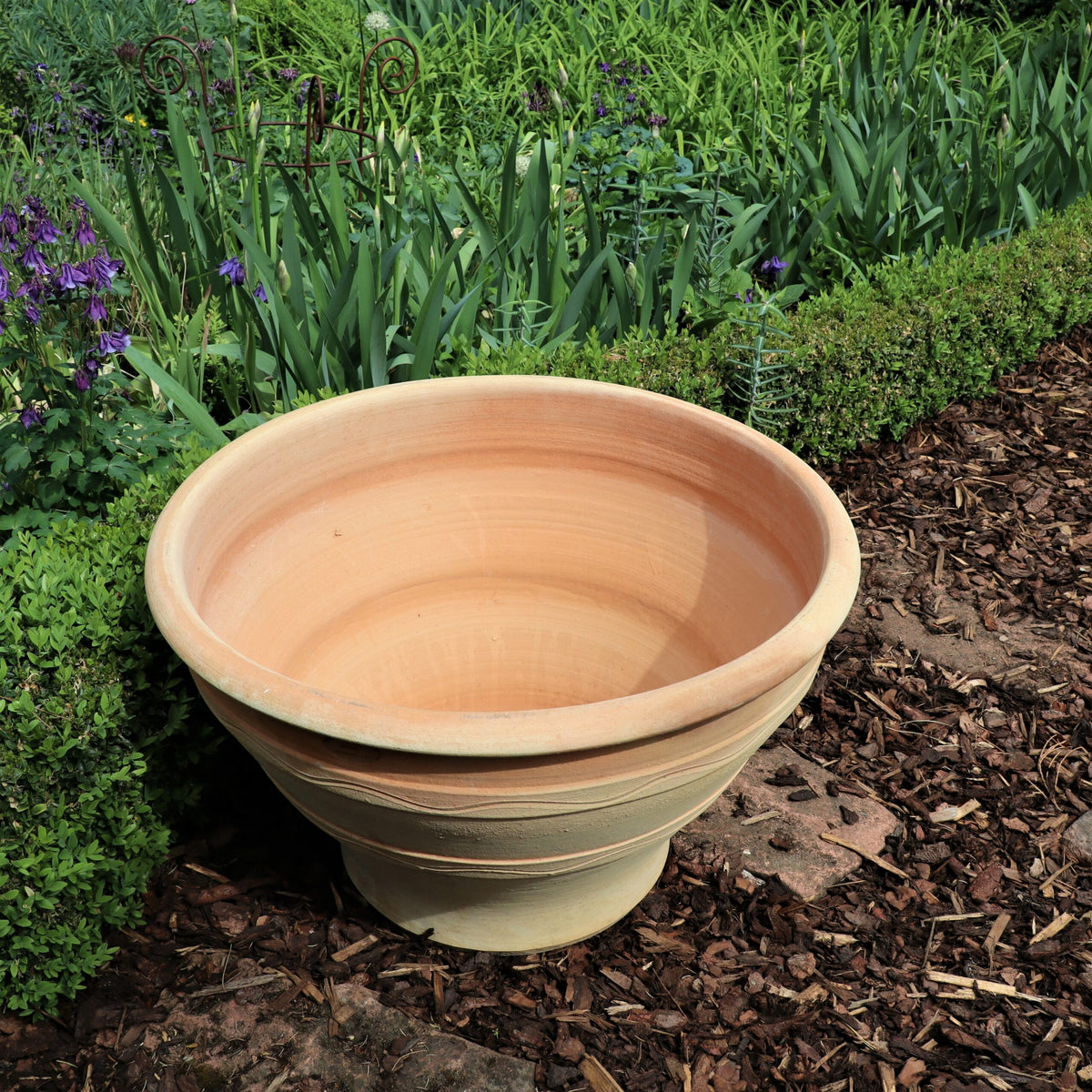 Ein großer, leerer winterfester Pflanzkübel (Blumenkübel 70 cm) steht mit Holzspänen auf einem Gartenweg. Er ist von dichtem, grünem Artemisia und kleinen violetten Blüten umgeben. Der Topf hat eine glatte Oberfläche und eine breite Öffnung und steht prominent auf dem Boden.
