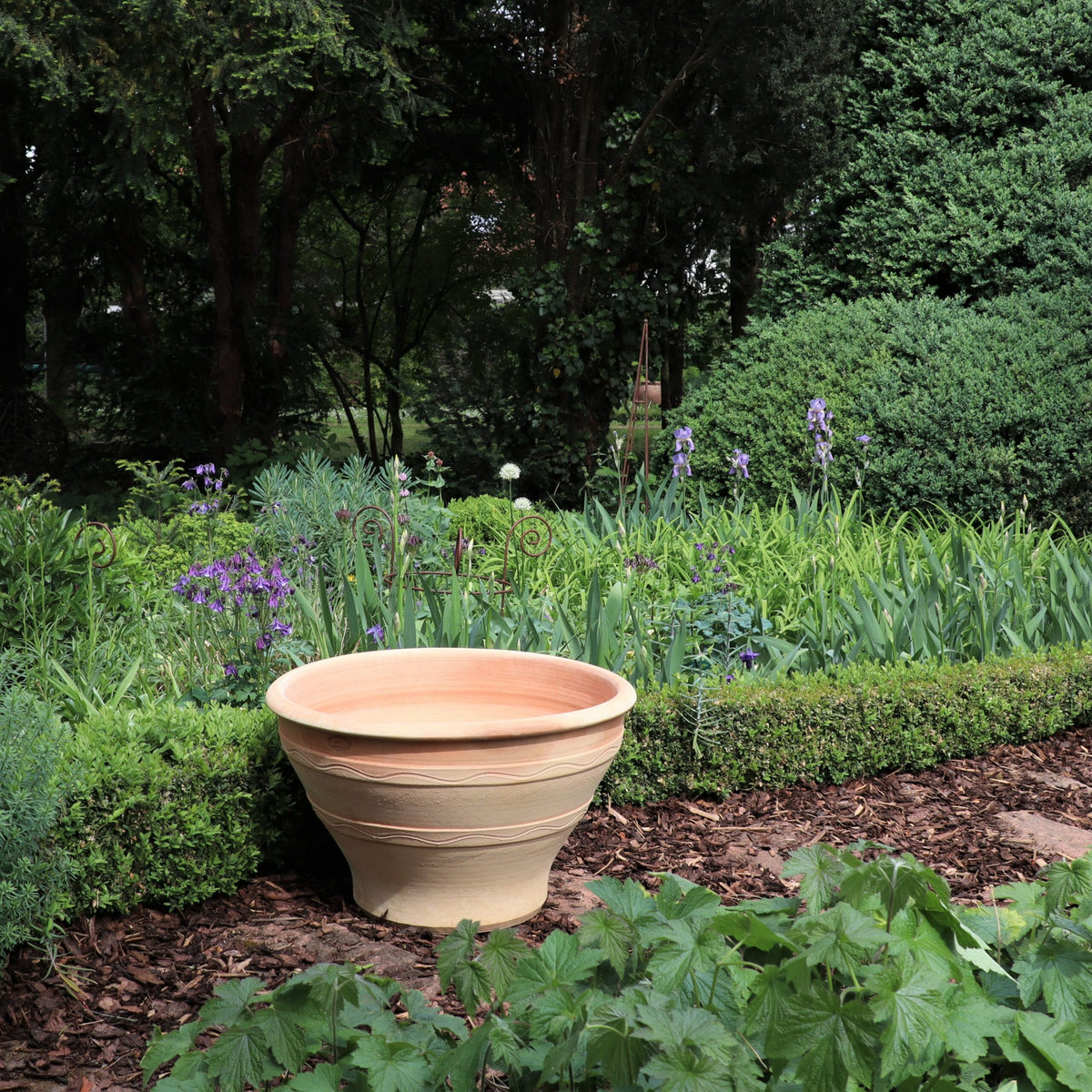 Ein winterfester großer Pflanzkübel, Artemesia, Beige und Terrakotta, steht leer am Rand eines gepflegten Gartens mit geschnittenen Büschen. Im Hintergrund befindet sich ein üppiger Garten mit grünen Blättern und verschiedenen blühenden Pflanzen, darunter hohe lila Schwertlilien und Artemesia. Mulch bedeckt den Boden im Vordergrund.