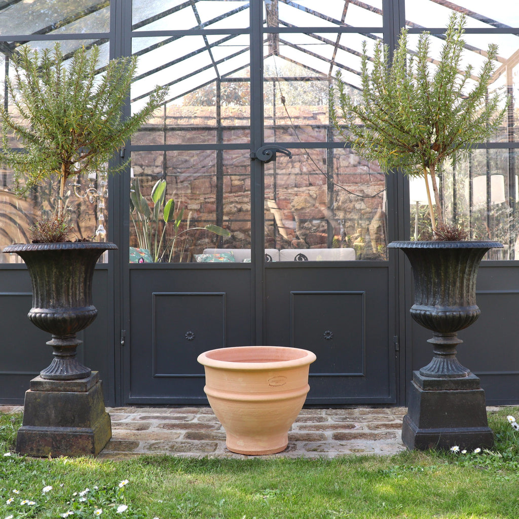 Zwei hohe schwarze Urnen mit kleinen Bäumchen flankieren ein frostfestes Ton-Pflanzgefäß "Buxus", 40 cm, das auf einem Steinweg vor den gläsernen Gewächshaustüren mit Blick auf den Garten steht.