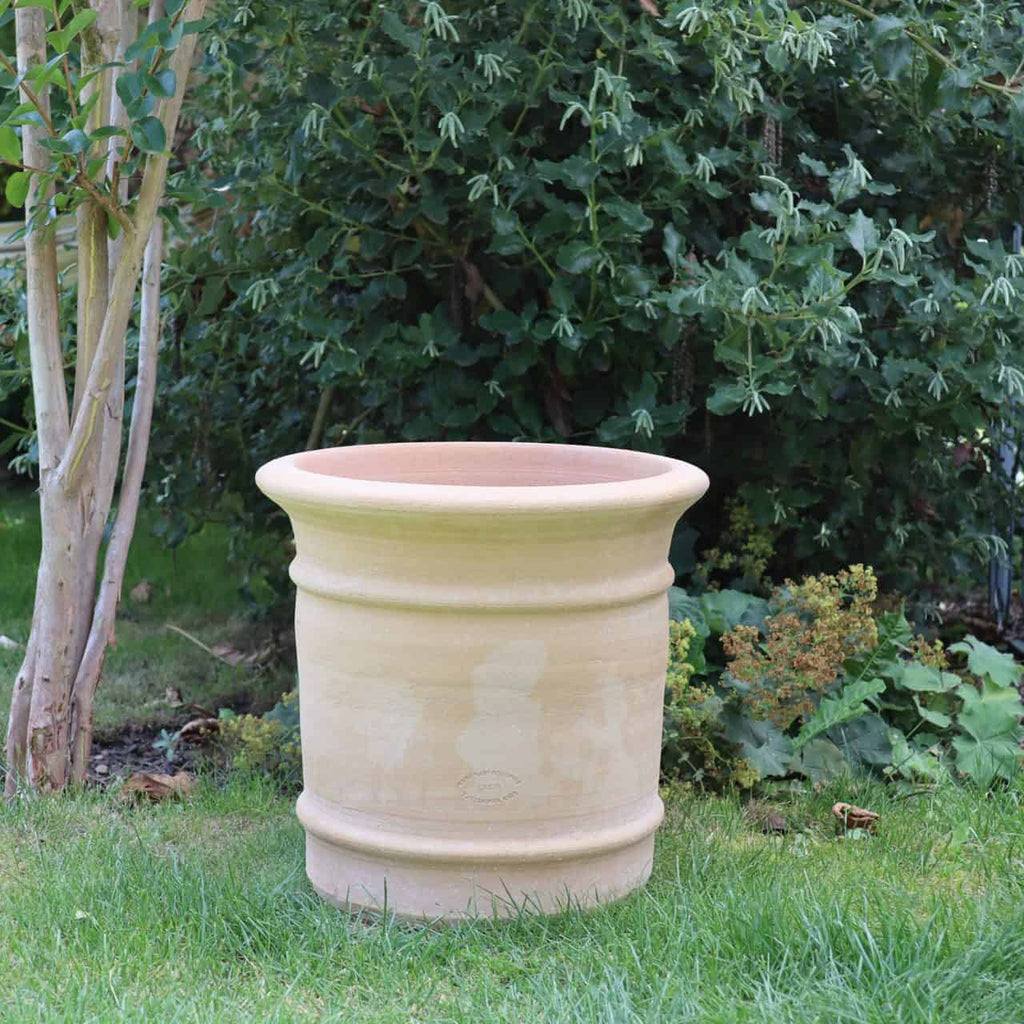 Ein 33 cm hoher Pflanzkübel „Canna“ aus Terrakotta mit großer, beigefarbener Tonoberfläche und dezenten Zierrillen an Ober- und Unterseite steht auf einem üppigen grünen Rasen in einer Gartenumgebung. Der zylindrische Terrakotta-Pflanzkübel mit seiner breiten Öffnung von ca. 33 cm wird durch verschiedene Grünpflanzen und Sträucher dahinter ergänzt und wertet so die Gartenatmosphäre auf.