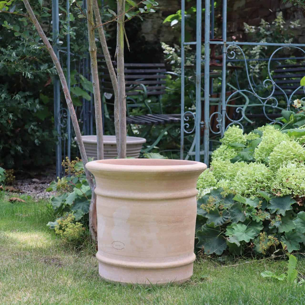 Ein großer, leerer Terrakotta-Pflanzkübel „Canna“ H=33 cm steht auf einer grünen Wiese neben einem Baum in einem Garten. Seine Abmessungen ergänzen das üppige Grün und die eisernen Gartenmöbel perfekt. In der Nähe sorgen weitere Canna-Pflanzen für lebendige Farbtupfer in der ruhigen Umgebung.