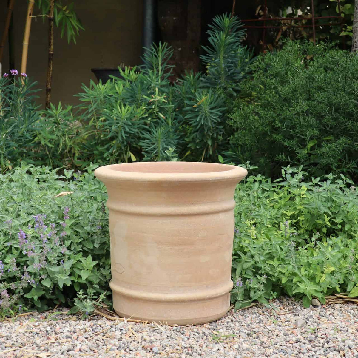 In einem Garten steht der große, leere Terrakotta-Pflanzkübel „Canna“ H=33 cm stolz auf einem Kiesbett. Umgeben von üppigem grünem Laub und einer Reihe von Pflanzen trägt der Topf mit seinem breiten Rand und der glatten Oberfläche zur ruhigen, natürlichen Umgebung bei.