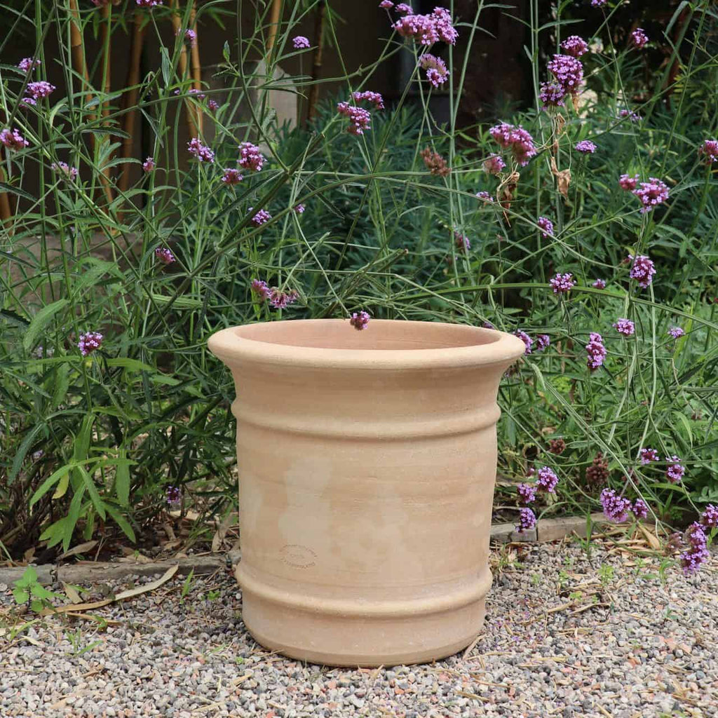 Ein Terrakotta-Pflanzkübel „Canna“ mit breiter Öffnung und geriffeltem Körper, H=33 cm, steht auf einer Kiesfläche in einem Garten. Hinter dem Topf sind grünblättrige Canna-Pflanzen mit Büscheln kleiner violetter Blüten zu sehen.