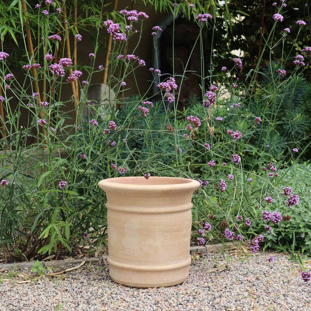 Ein Terrakotta-Pflanzkübel „Canna“ (H=33 cm) steht leer auf einem Kiesweg, dahinter üppiges Grün und große, violett blühende Canna-Pflanzen.
