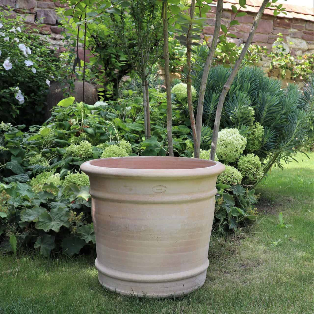 Ein großer, leerer Terrakotta-Blumentopf „Canna“, H=40 cm, steht auf einem üppigen grünen Rasen, umgeben von verschiedenen Grünpflanzen und Canna-Blüten. Im Hintergrund ist eine Ziegelmauer zu sehen, an der weiteres Laub hochklettert. Die Szene wirkt ruhig und gepflegt und erinnert an einen Garten oder Außenbereich.