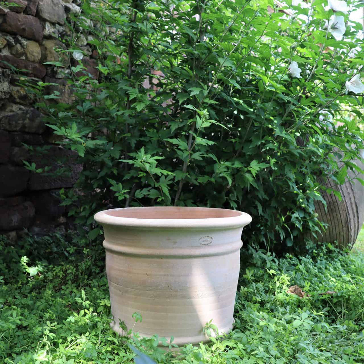 Ein großer, leerer Terrakotta-Blumentopf „Canna“ (H=40 cm) steht auf einer Rasenfläche vor üppigem, grünem Laub. Auf der linken Seite ist teilweise eine verwitterte Steinmauer sichtbar und die Fläche ist in natürliches Sonnenlicht getaucht. Perfekt zum Pflanzen leuchtender Canna-Blüten.