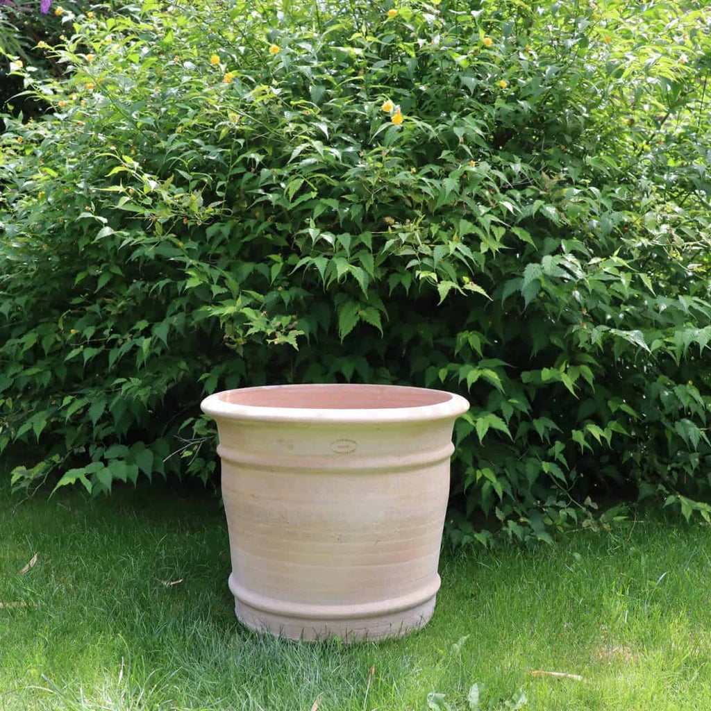 Ein großer, leerer Terrakotta-Blumentopf „Canna“, H=40 cm, steht auf üppigem grünem Gras vor einem dichten, belaubten Strauch. Der Topf ist in der Bildmitte und das Grün bietet einen lebendigen, natürlichen Hintergrund.